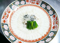 大分県臼杵市 ふぐ料理 日本料理 福わ内/夏ふぐ