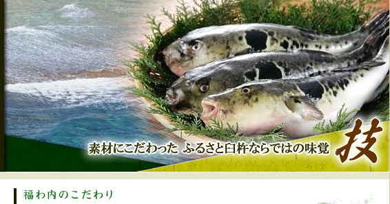 大分県 臼杵市 ふぐ料理 寿司 和食 宴会 福わ内/こだわり食材“臼杵の地魚”